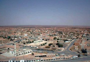 zintan-360x250.jpg