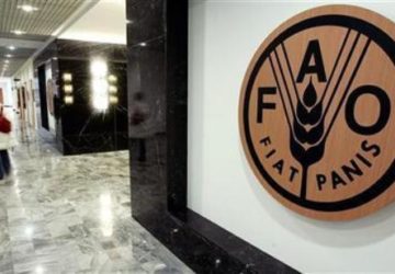 FAO-360x250.jpg