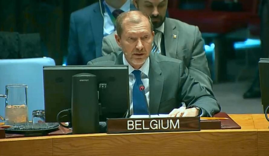 مندوب بلجيكا لدى مجلس الأمن: تواصل انتهاك حظر توريد الأسلحة إلى ليبيا