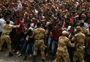 YemenShabab2020-07-01-909656-360x250.jpg